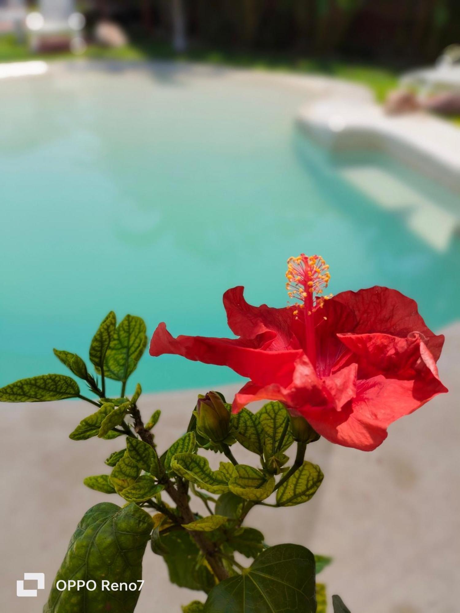 Teki-Sha Home&Suites Bacalar Luaran gambar